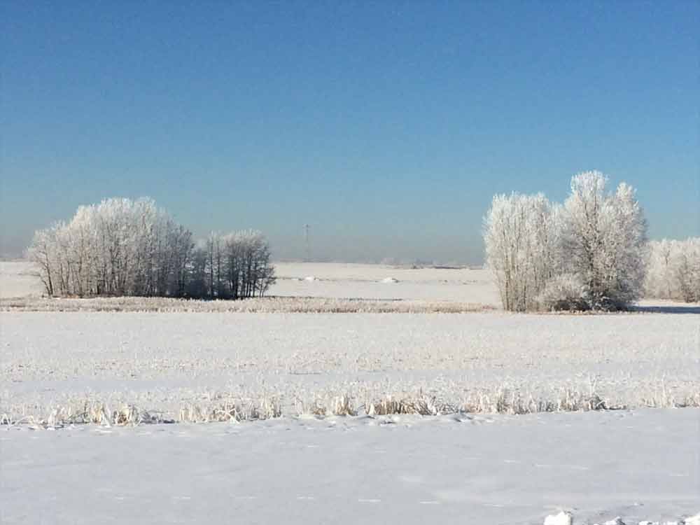 Image of Frosted Landscape for Purchase